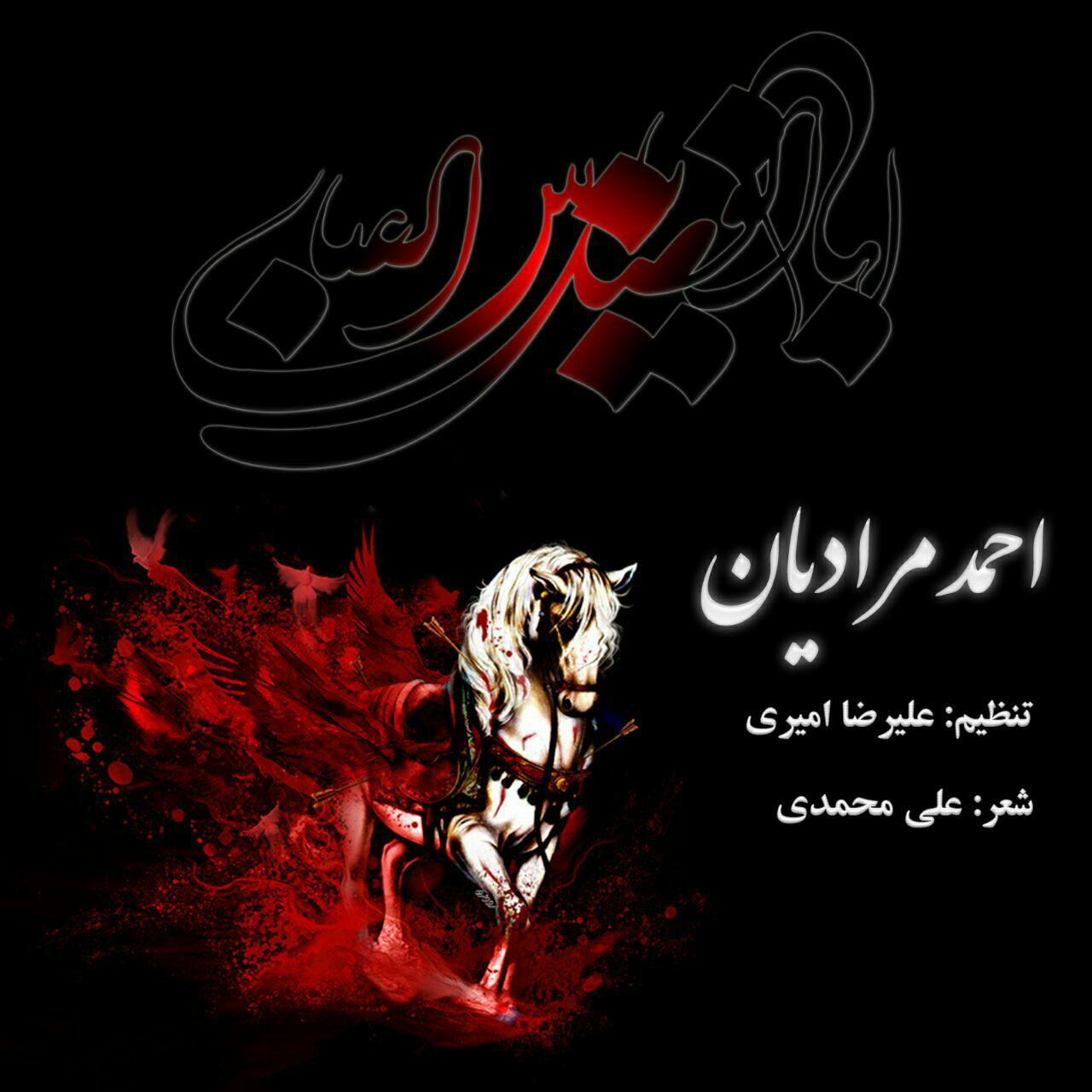 احمد مرادیان سردار بی دست